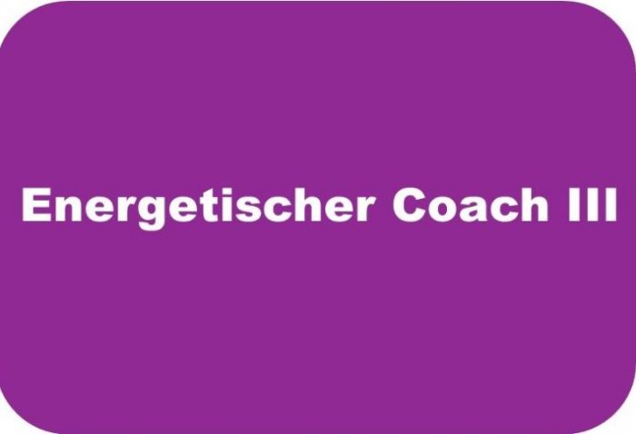 Energetischer Coach 3